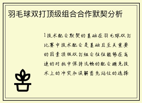 羽毛球双打顶级组合合作默契分析